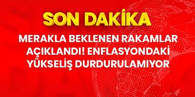 Son Dakika: Ocak ayında TÜFE yüzde 11,10 artarken, yıllık enflasyon 48,69 oldu.