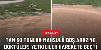 50 ton Mahsulü boş araziye döktüler!