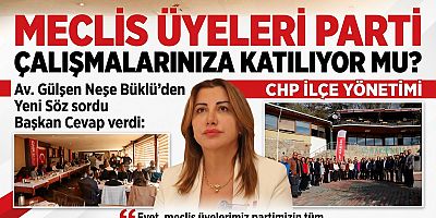 MECLİS ÜYELERİ ÇALIŞMALARINIZA KATILIYORLAR MI?