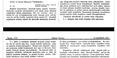 SOKAK KÖPEKLERİ HAKKINDA ATATÜRK'ÜN EMRİ NEYDİ?