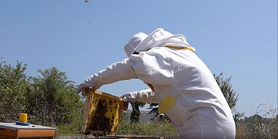 Tuzla’da Arıcılık Kursu’nu Tamamlayan 40 Kursiyer Sertifika Almaya Hak Kazandı